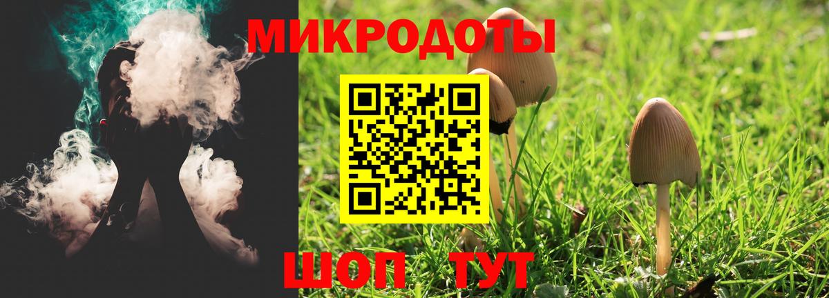Киров  Псилоцибиновые грибы MAGIC MUSHROOMS  Вход с VPN  Галлюциногенные грибы Psilocybine cubensis 