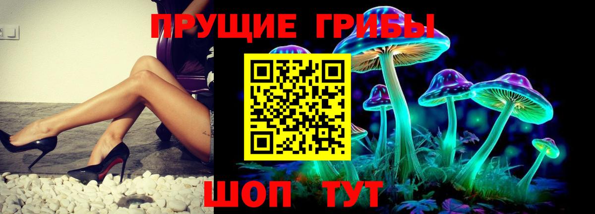 Галлюциногенные грибы Magic Shrooms Киров